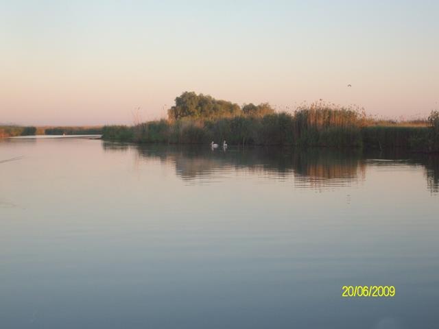 delta rosu 2009 - sany6756.JPG